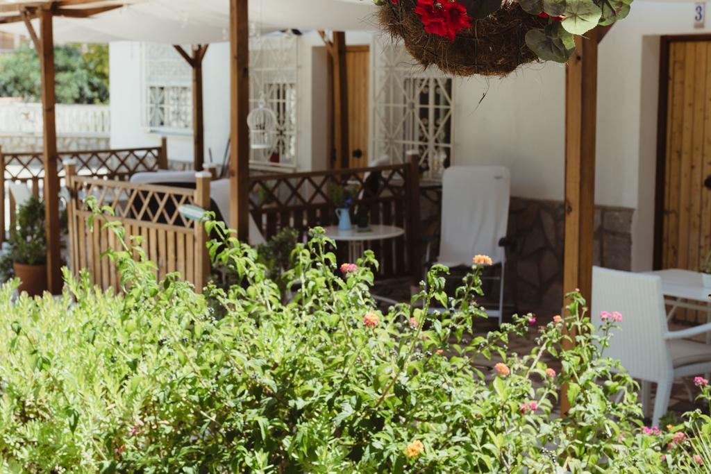 אלביר Apartamentos Casa Torres - Adults Only מראה חיצוני תמונה